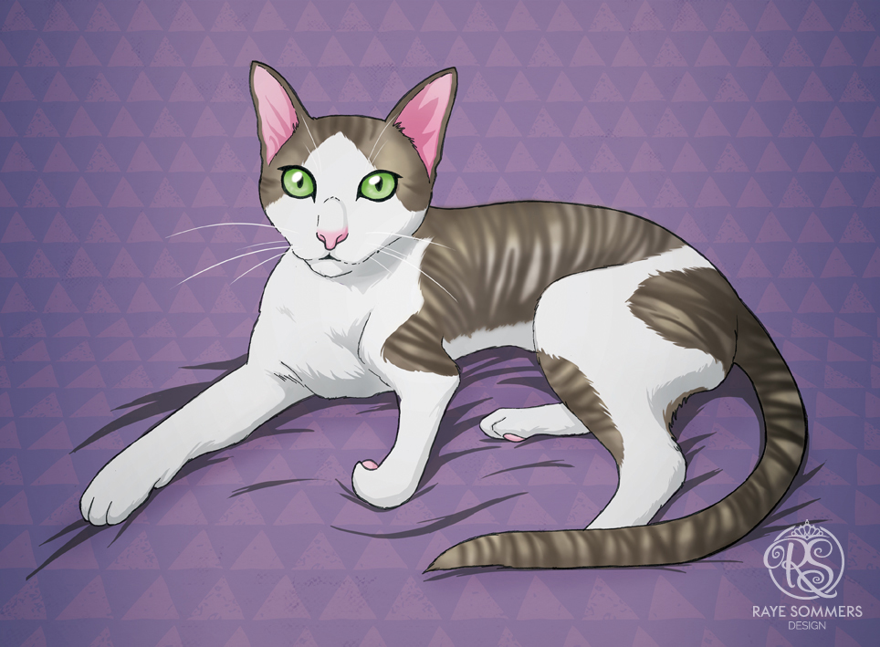 Illustration of a cat