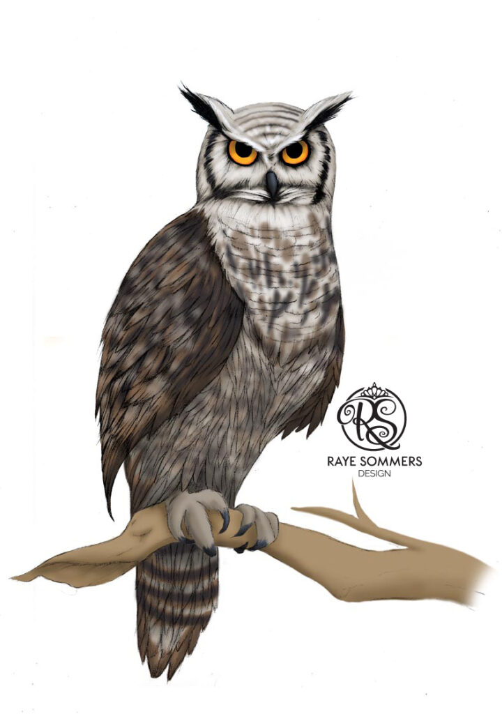 Illustration of an Eagle Owl