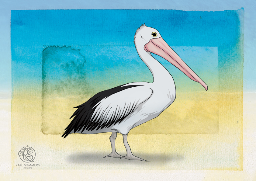 An illustration of a pelican
